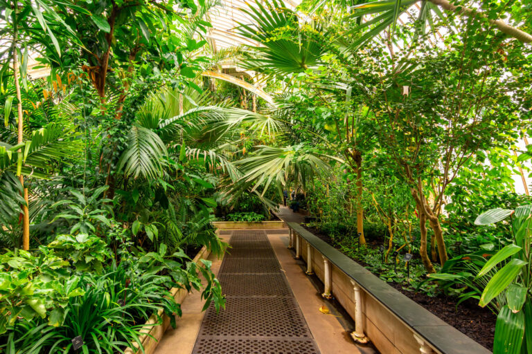 Investment side image